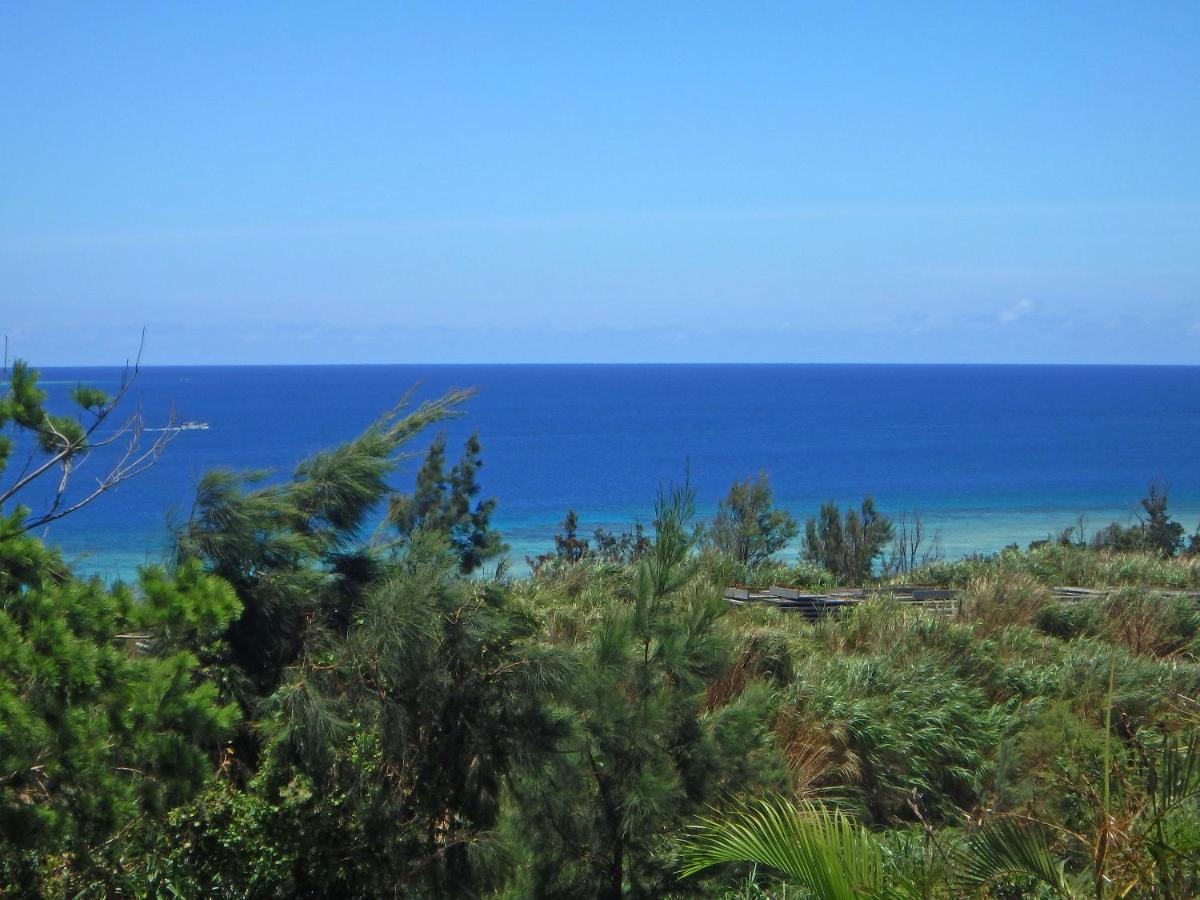 Private Vacation Villa Kohola โมโตบุ ภายนอก รูปภาพ
